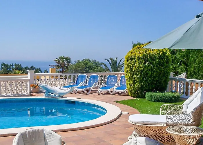 Club Villamar - Delfin