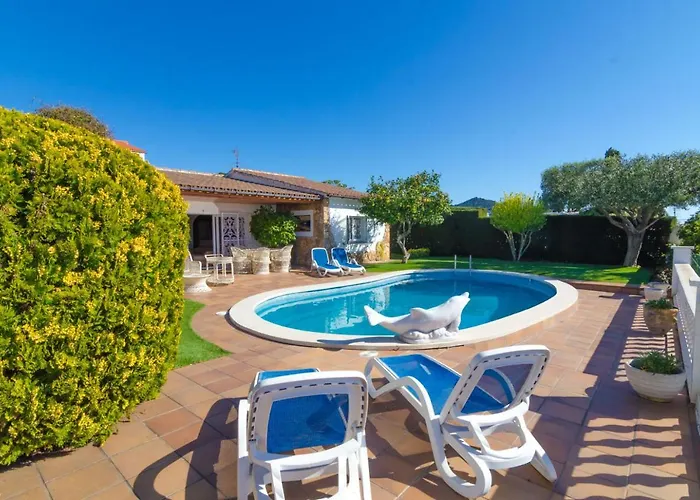 Club Villamar - Delfin