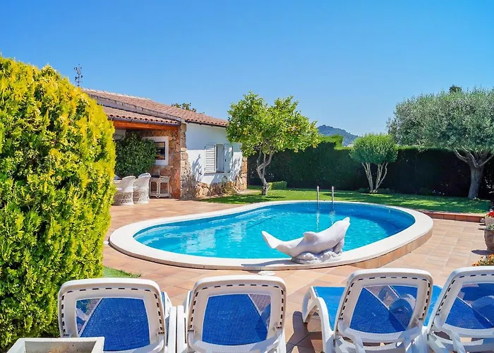 Club Villamar - Delfin