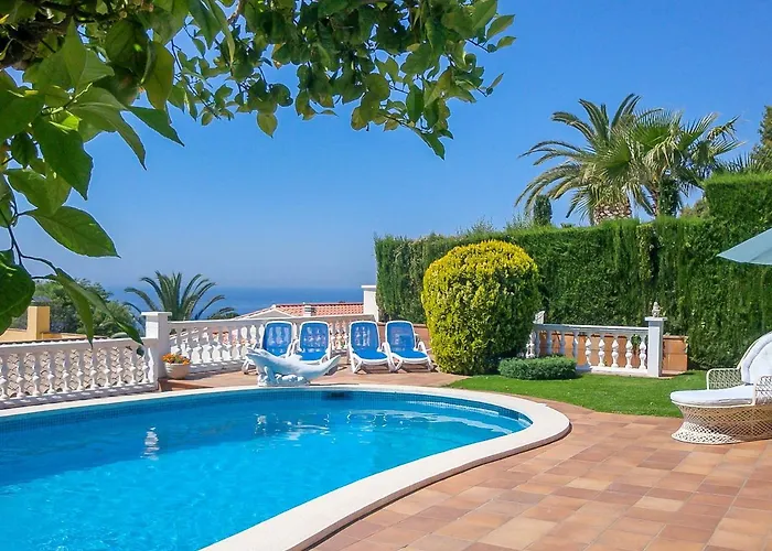 Club Villamar - Delfin