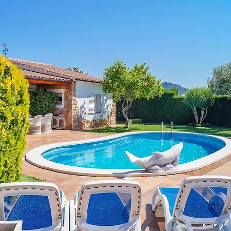 Club Villamar - Delfin